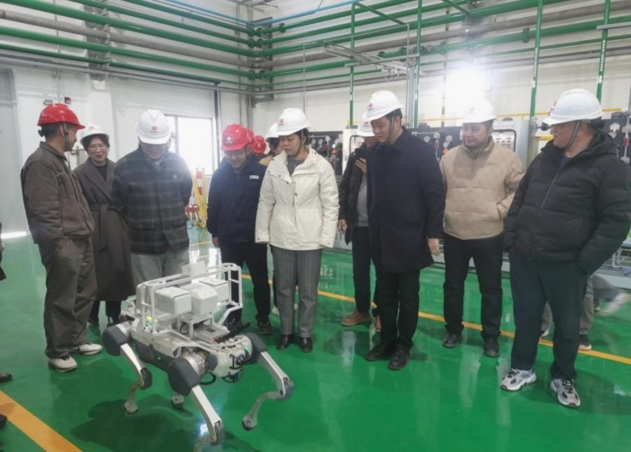 1769736909633444wIi2.jpg ͼƬ1.jpg